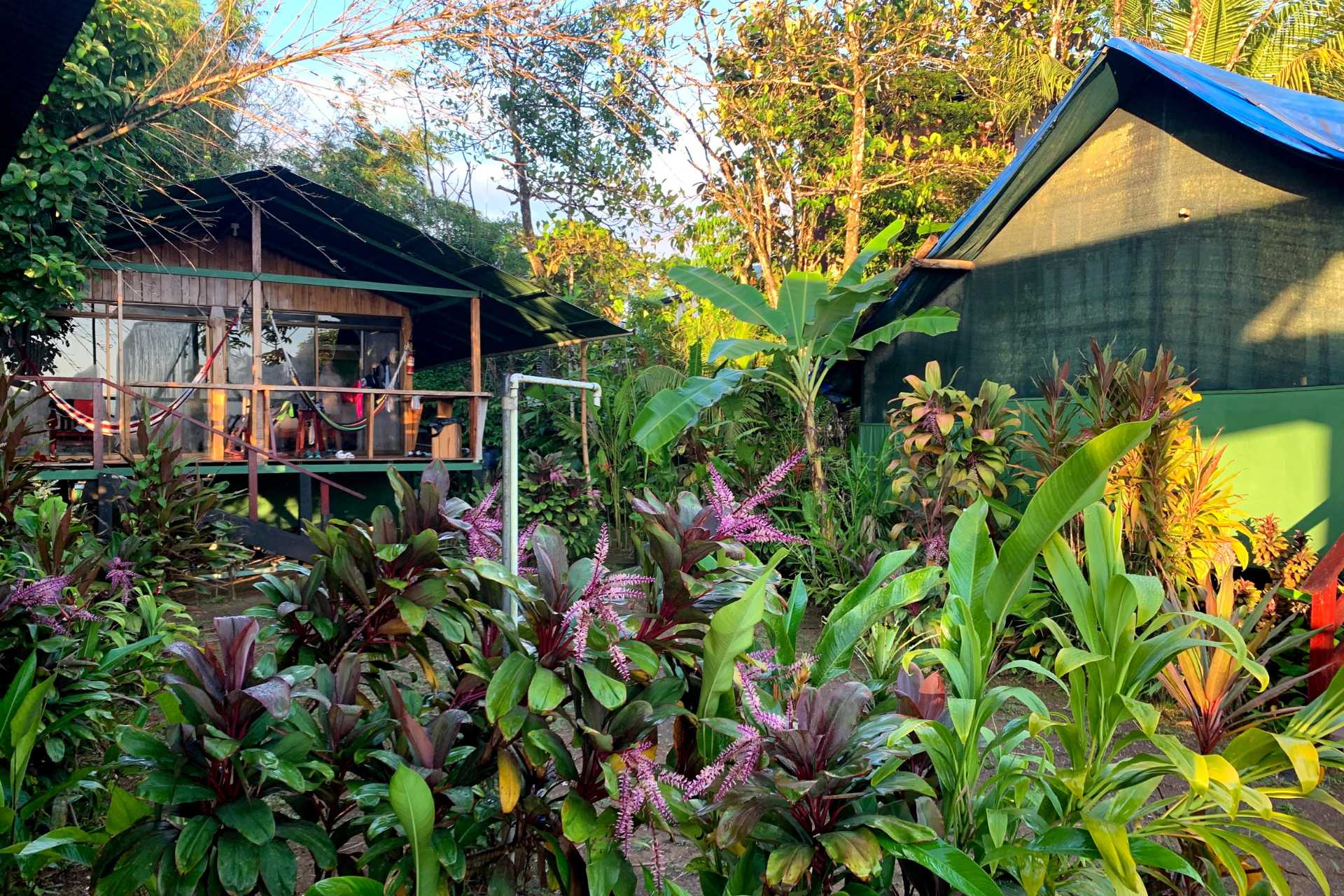 2025-06-costa-rica-4