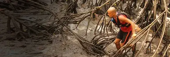 1. Yes, there is a person running through dense vegetation. 2. The terrain appears to be a jungle or mangrove forest. 3. Costa Rica 4. The weather seems overcast with diffused lighting, ideal for trail running in a lush environment. #CostaRicaTrailRunners #JungleAdventure #MangroveForestRun