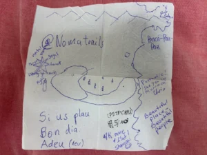 A napkin