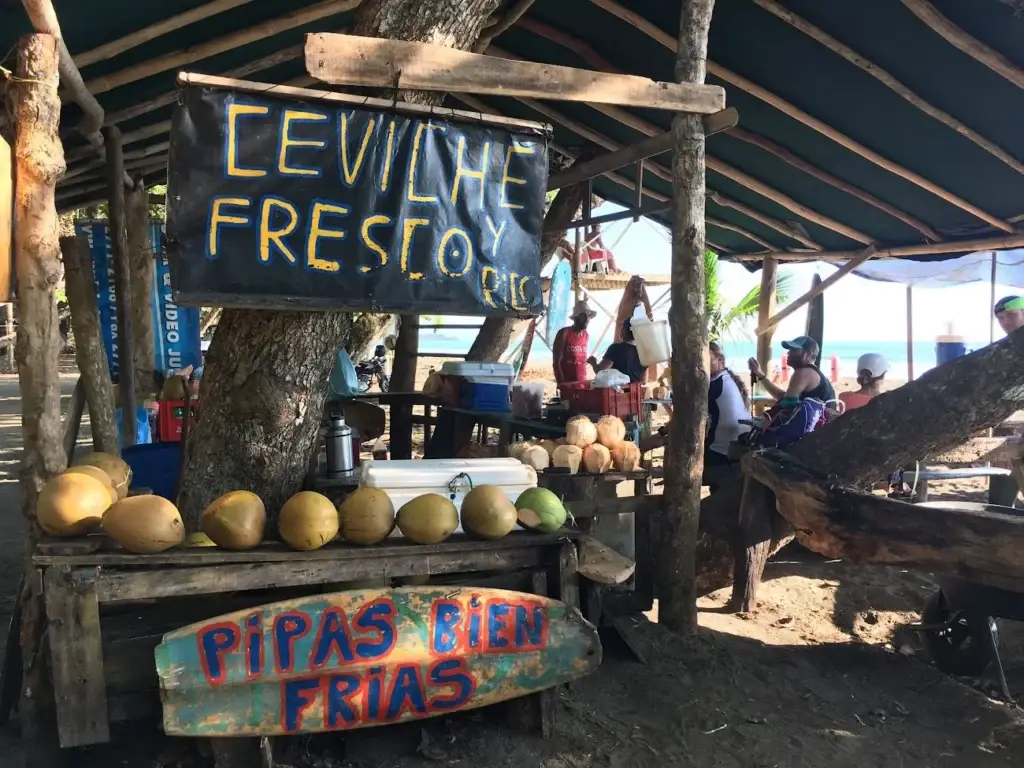 Coconut stand 1 — Costa Rica — The Jungle Expedition