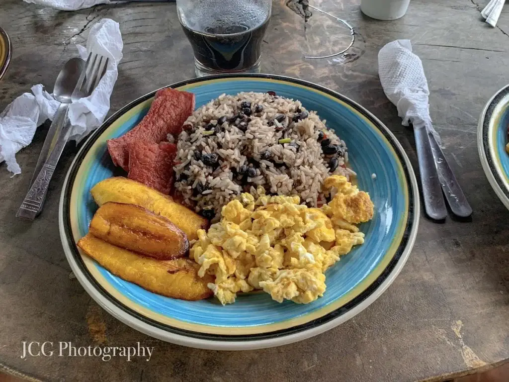 Meals — Costa Rica — The Jungle Expedition