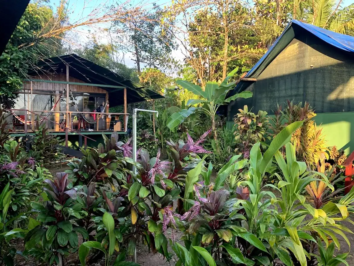 Accommodation — Costa Rica — The Jungle Expedition
