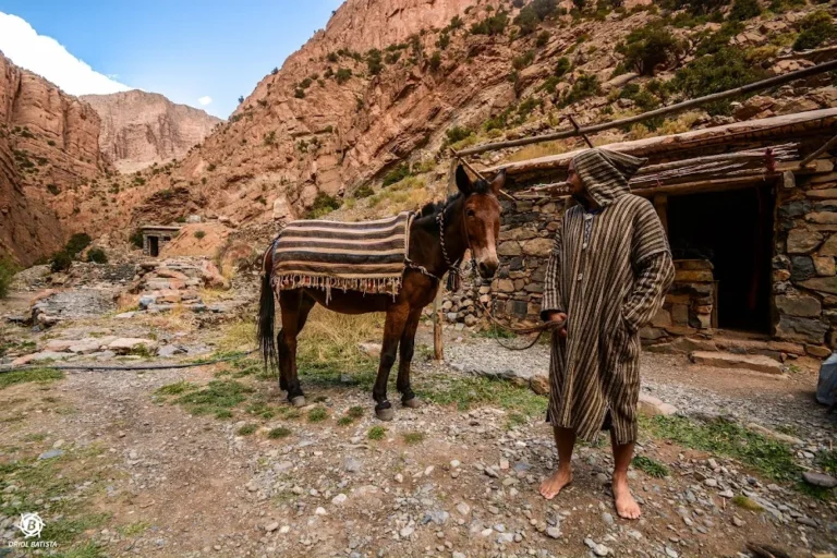 Full support — Morocco — Atlas to Sahara