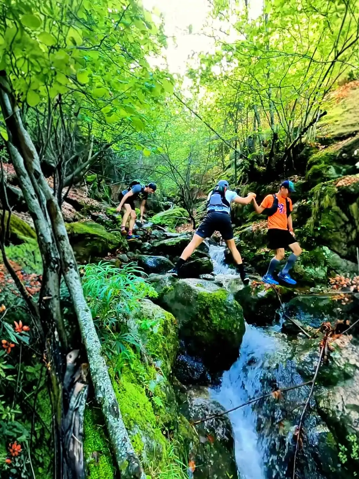 Trail running in Pyrenees — photo 4